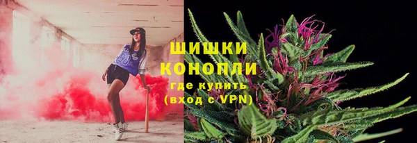 марки nbome Ельня