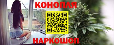 прущие грибы Белорецк