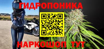 прущие грибы Белорецк