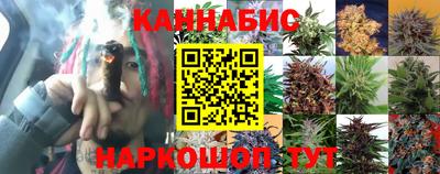 ПСИЛОЦИБИНОВЫЕ ГРИБЫ Бердск