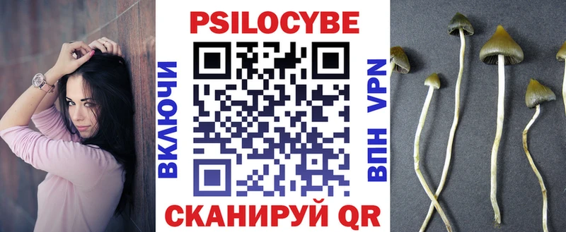 Галлюциногенные грибы мухоморы  как найти закладки  Елизово 