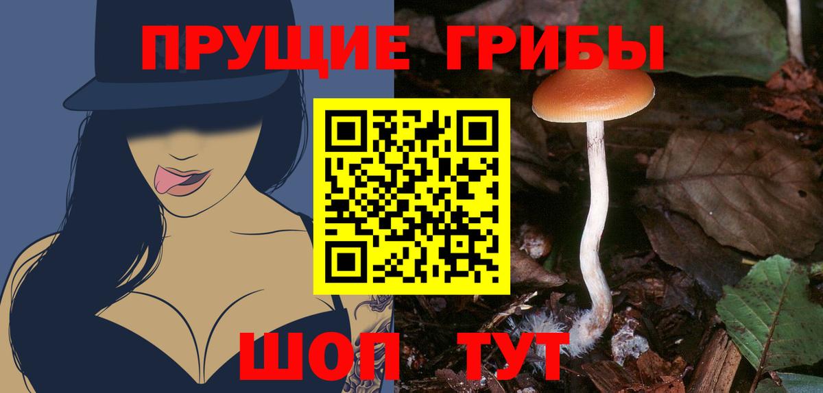 Галлюциногенные грибы Magic Shrooms  Галлюциногенные грибы Psilocybine cubensis  Вход с VPN  Елизово 