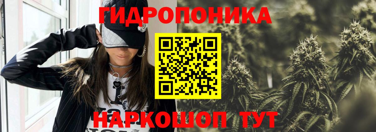 Елизово  Шишки марихуана тримм  Марихуана White Widow  Вход с VPN  Канабис Bruce Banner 
